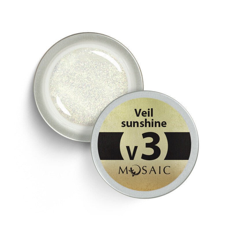 Gel-Paint Veil